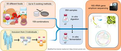 Effects of different foods and cooking methods on the gut microbiota: an in vitro approach